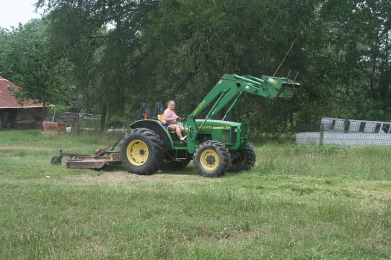 Todays take from the garden - Countryside Families
