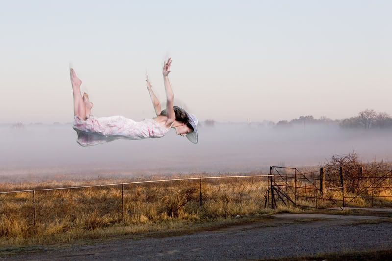 IMAGE: http://img.photobucket.com/albums/v12/daveP/June%2008/IMG_2861copy3.jpg