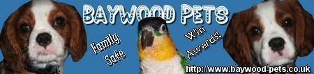 Visit Baywood Pets
