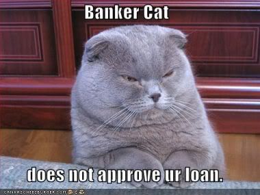 bankercat_copy1.jpg
