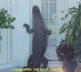 [Linked Image from img.photobucket.com]