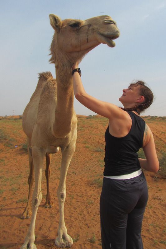  photo IMG_1467MF_zpsjdmlki3r.jpg