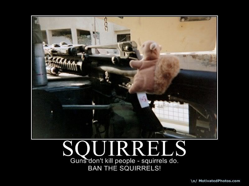 633649625704590603-squirrels.jpg