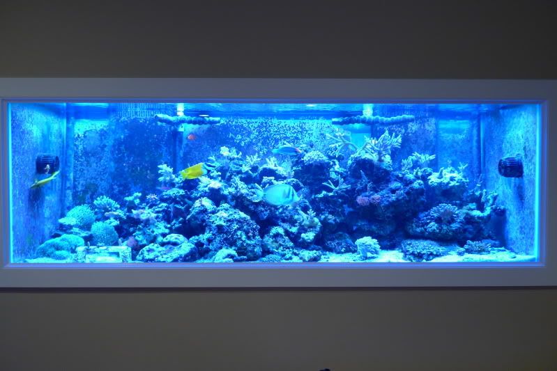 Reef02-26-12172.jpg