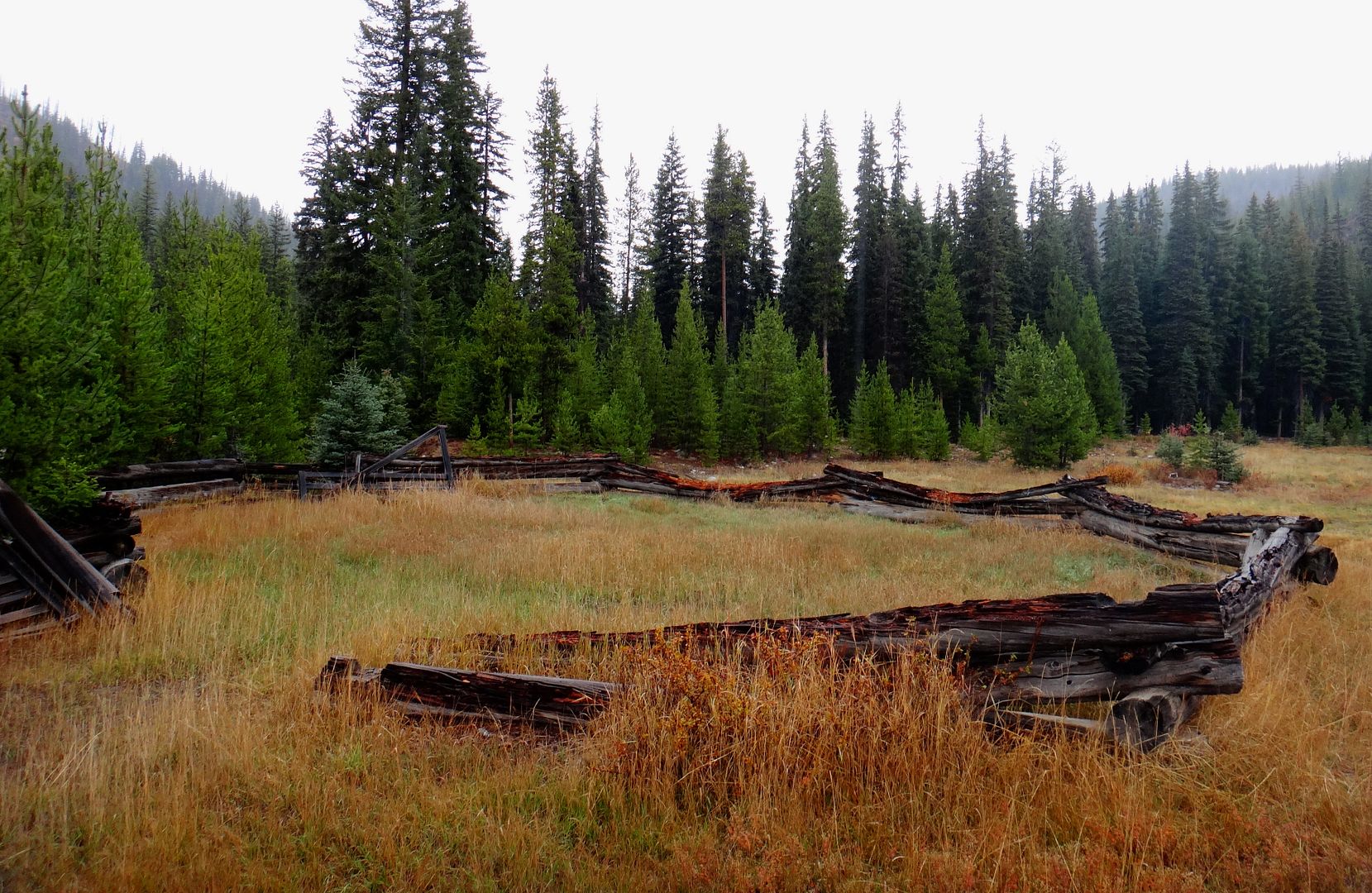 DSC06299_zpsldpzcfuk.jpg