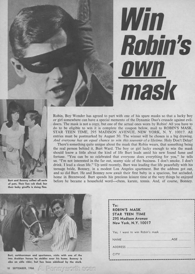 Robins Mask