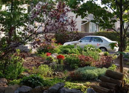 view of the garden