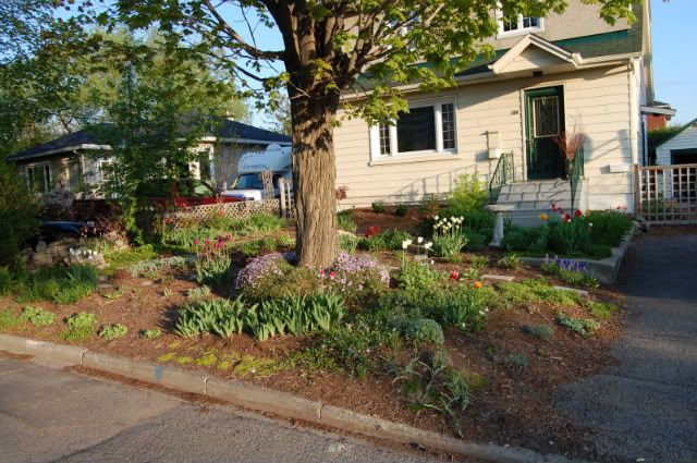 Front Garden 2009