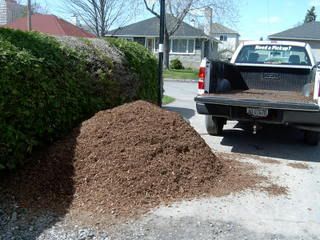 mulch #1