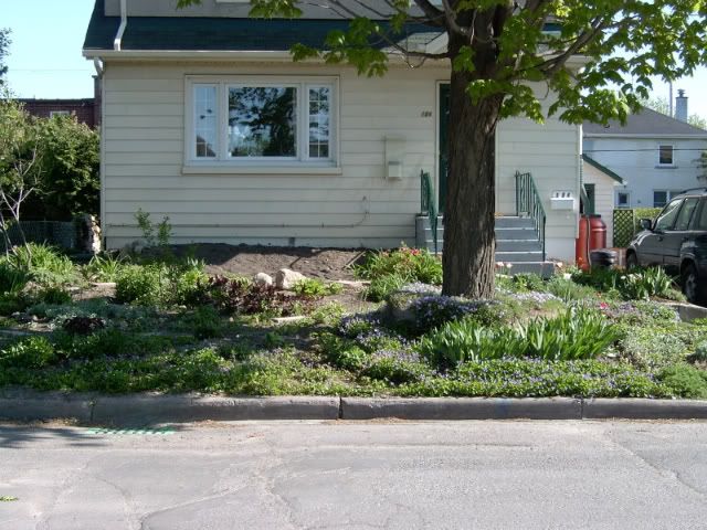 Front Garden 2007