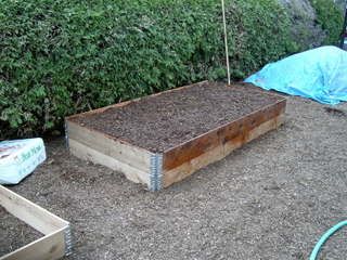 raised lasagna bed