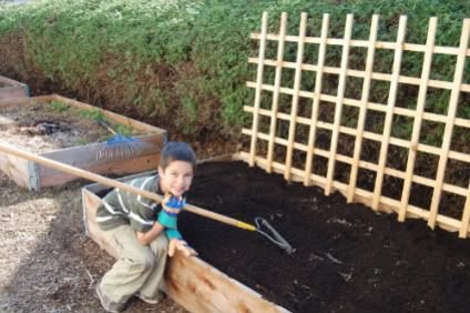 little garden helper