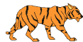 [Image: Tigers-WalkingTiger-02.gif]