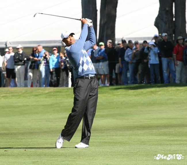 IMAGE: http://img.photobucket.com/albums/v123/menis/IMG_0185a.jpg