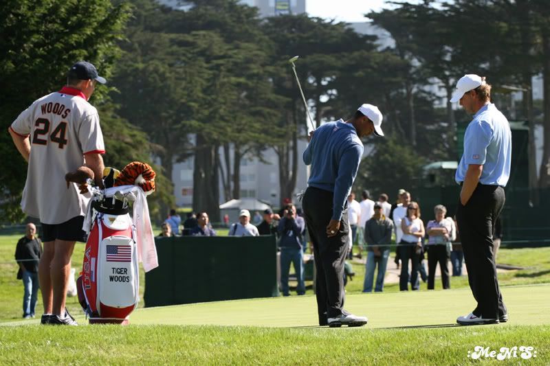 IMAGE: http://img.photobucket.com/albums/v123/menis/IMG_0230a.jpg