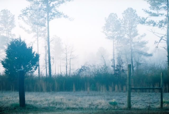 Aa Resimleri (4. Katalog)