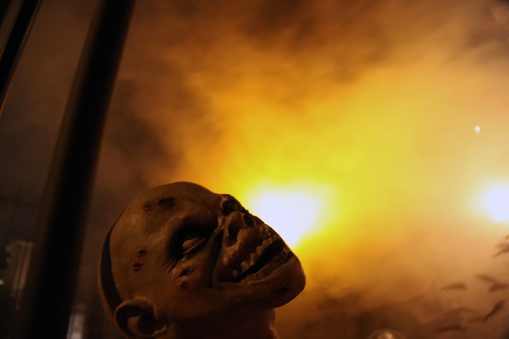 IMAGE: http://img.photobucket.com/albums/v124/Dr-toronto/canon%2050d/spooky.jpg