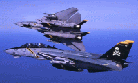 F-14avy.gif
