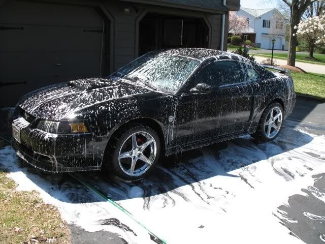 4MONTHWASH008.jpg