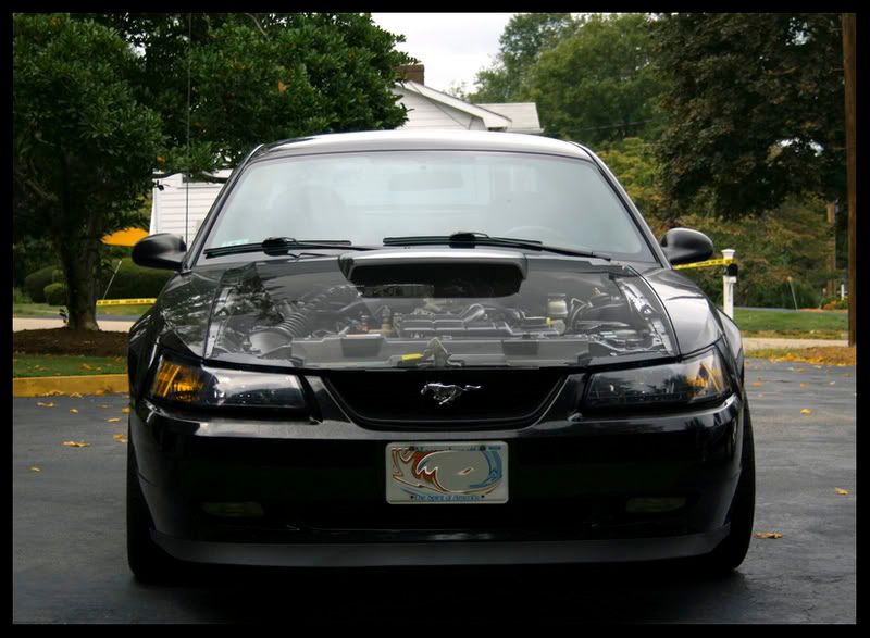 IMAGE: http://img.photobucket.com/albums/v124/pmdemas/Enginecopy.jpg