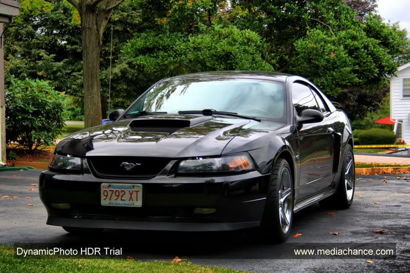 IMAGE: http://img.photobucket.com/albums/v124/pmdemas/HDRSTANG2.jpg