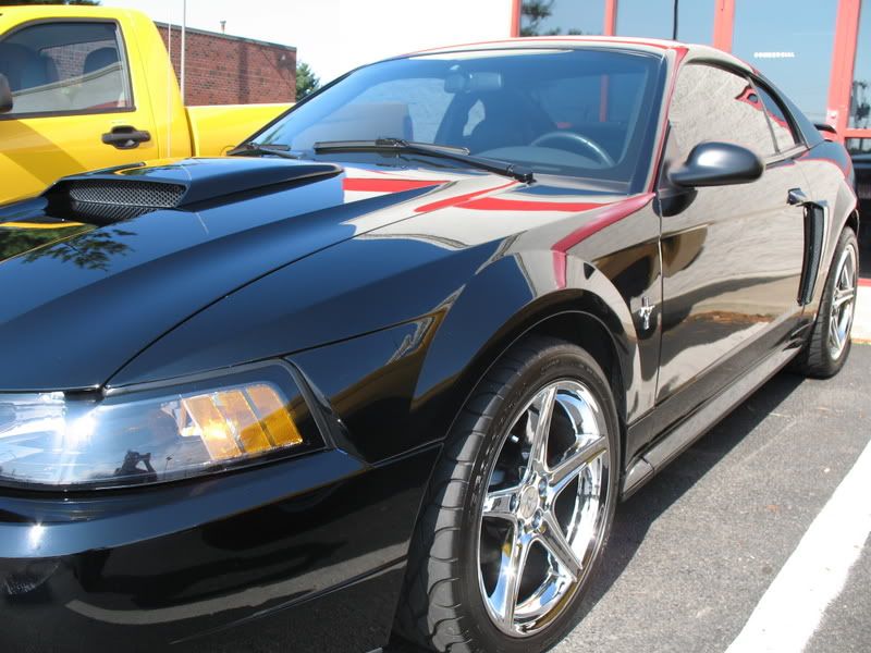 OptiSealStang006.jpg