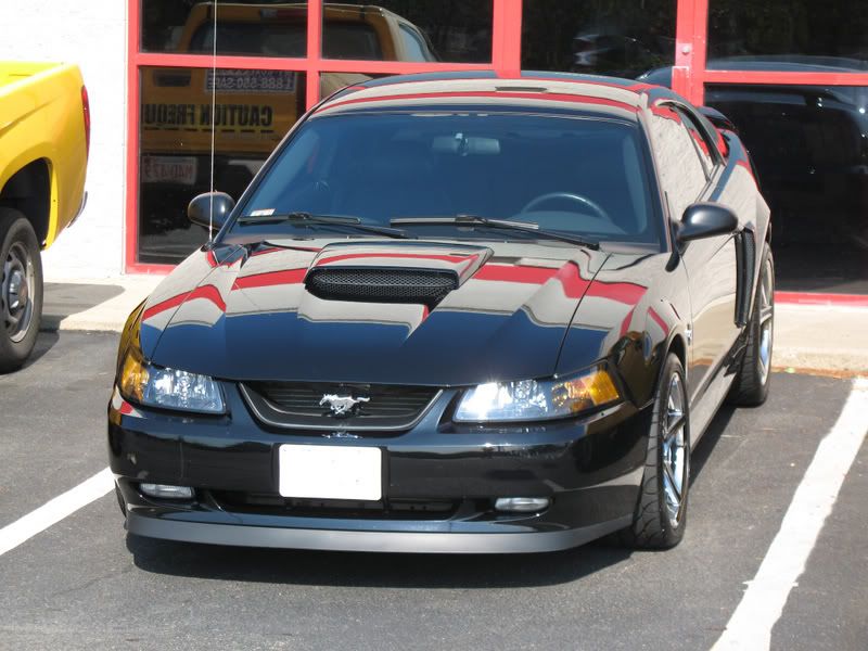 OptiSealStang010.jpg