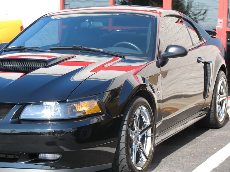 OptiSealStang012.jpg