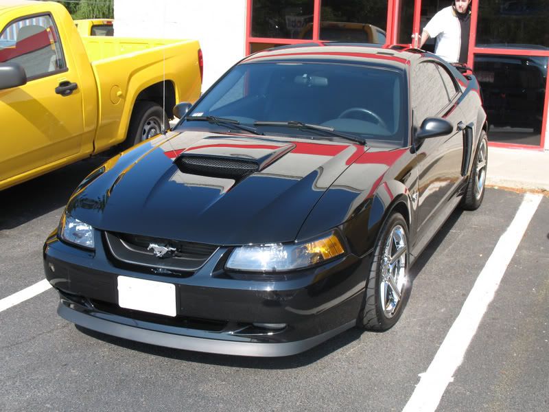 OptiSealStang013.jpg