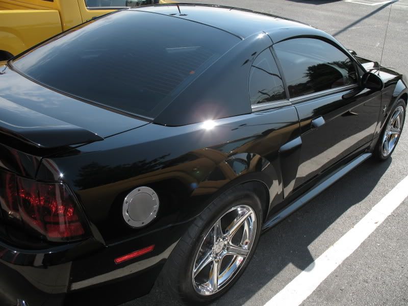 OptiSealStang016.jpg