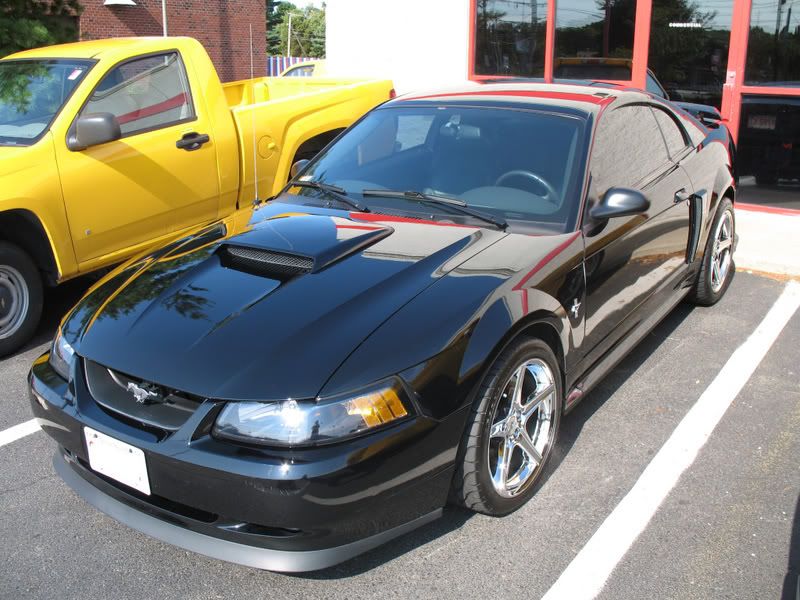 OptiSealStang020.jpg