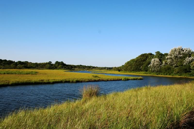 IMAGE: http://img.photobucket.com/albums/v124/pmdemas/SerenityStream3.jpg