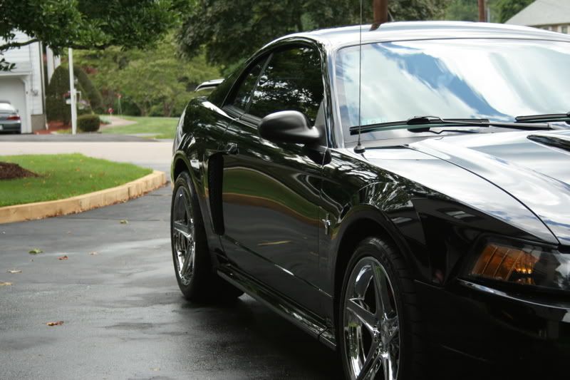IMAGE: http://img.photobucket.com/albums/v124/pmdemas/stang1.jpg