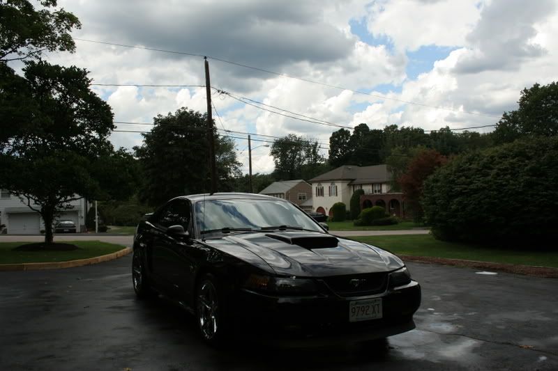IMAGE: http://img.photobucket.com/albums/v124/pmdemas/stang3.jpg
