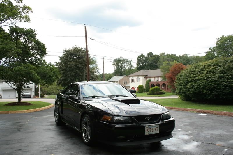 IMAGE: http://img.photobucket.com/albums/v124/pmdemas/stang4.jpg