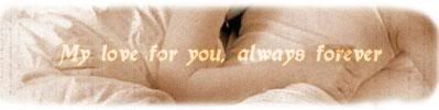banner.jpg