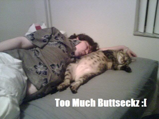 kittybutt.jpg