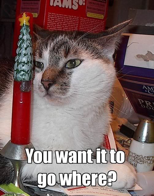 kittycandle.jpg