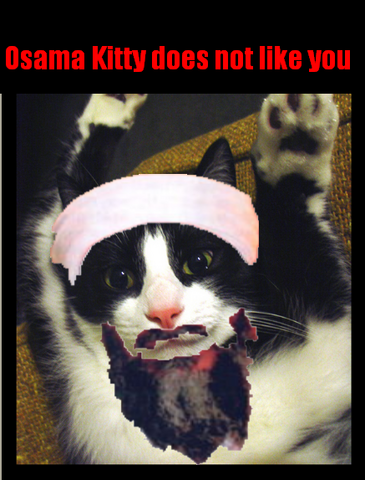 kittyosama.png