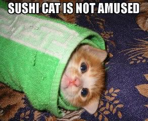 kittysushi.jpg