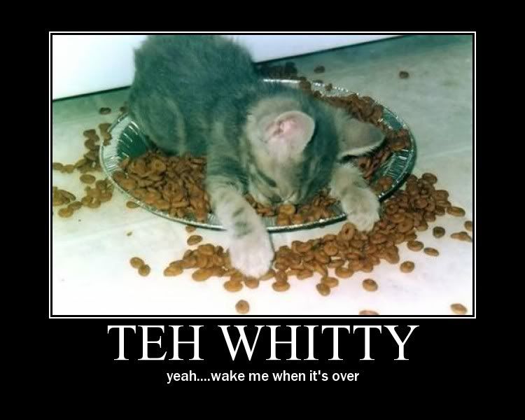 kittywhit.jpg