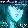 wechooseourdestiny08403263.jpg