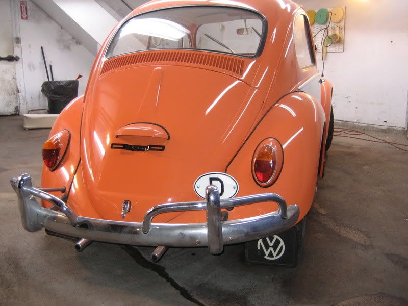 Bug04.jpg