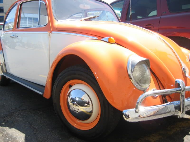 Bug07.jpg