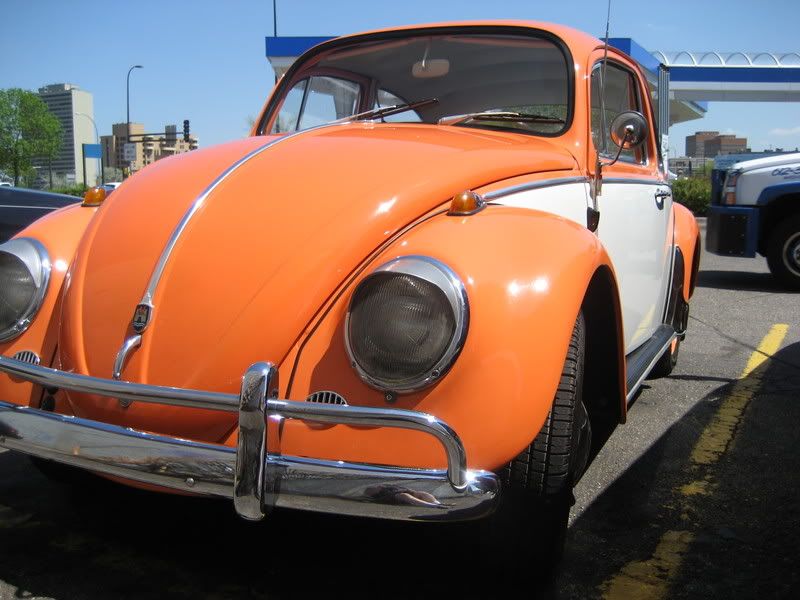 Bug08.jpg