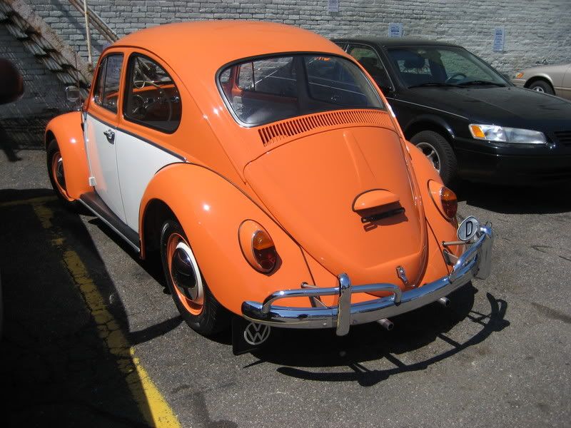 Bug09.jpg