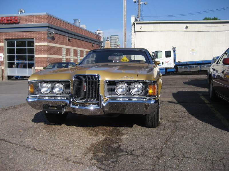 Cougar02.jpg