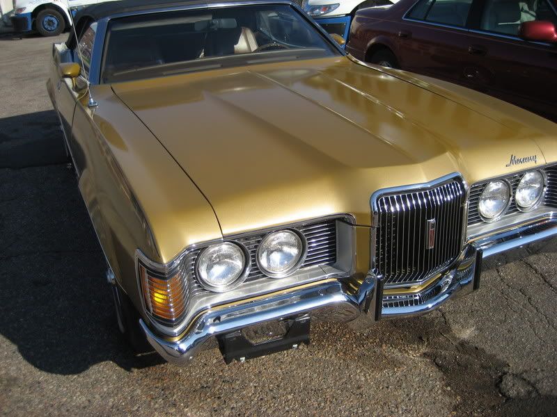 Cougar05.jpg
