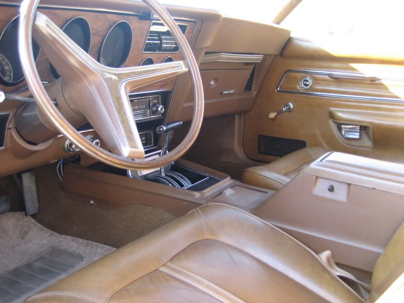 Cougar06.jpg