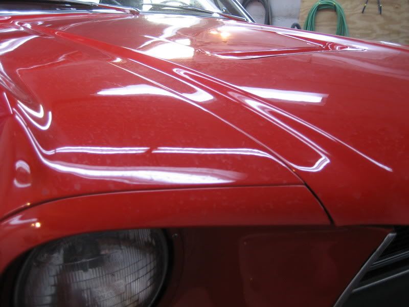Mustang02.jpg